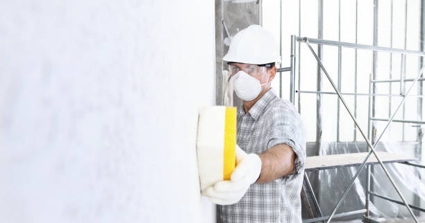 Reliable Geistown, PA Mold Removal Solutions